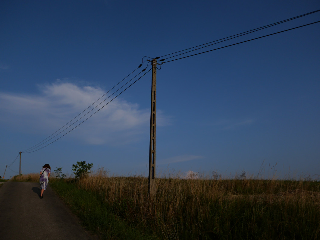 1/16000 s, f/1.8, ISO 200, 11.5 mm