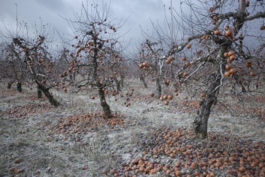 fot. Marek M. Berezowski, 1. miejsce w kategorii Natura i Cywilizacja