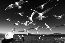 fot. Wiktor Baron, wyróżnienie w kategorii Street / Monochrome Awards 2019