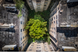 Kategoria: Zdjęcia pojedyncze - środowisko. Autor: Jacek Turczyk, freelancer
Wydaje nam się, że świat należy do człowieka, niszczymy i zanieczyszczamy środowisko na niezliczoną ilość sposobów, ale mimo to przyroda przedziera się przez liczne zabudowania i próbuje nieśmiało odzyskać trochę miejsca.