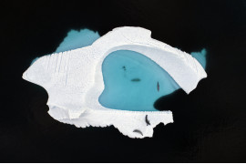 fot. Cristobal Serrano, 1. nagroda w kategorii Creative Visions / WPOTY 2018

Pochmurny dzień idealnie wydobywa teksturę lodu w kanale Errera u zachodnich wybrzeży Półwyspu Antarktycznego. Ciągłe prądy w tym regionie sprawiają, że góry lodowe przybierają tu najróżniejsze formy i kształty. Dlatego fotograf zdecydował się na użycie drona i ukazanie ich z nieco mniej oczywistej perspektywy.