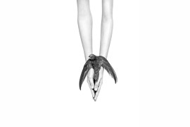 Fot. Małgorzata Fober, z serii "Everything in Our Hands", Nature Photographer Of the Year (Sekcja amatorska) / IPA 2024