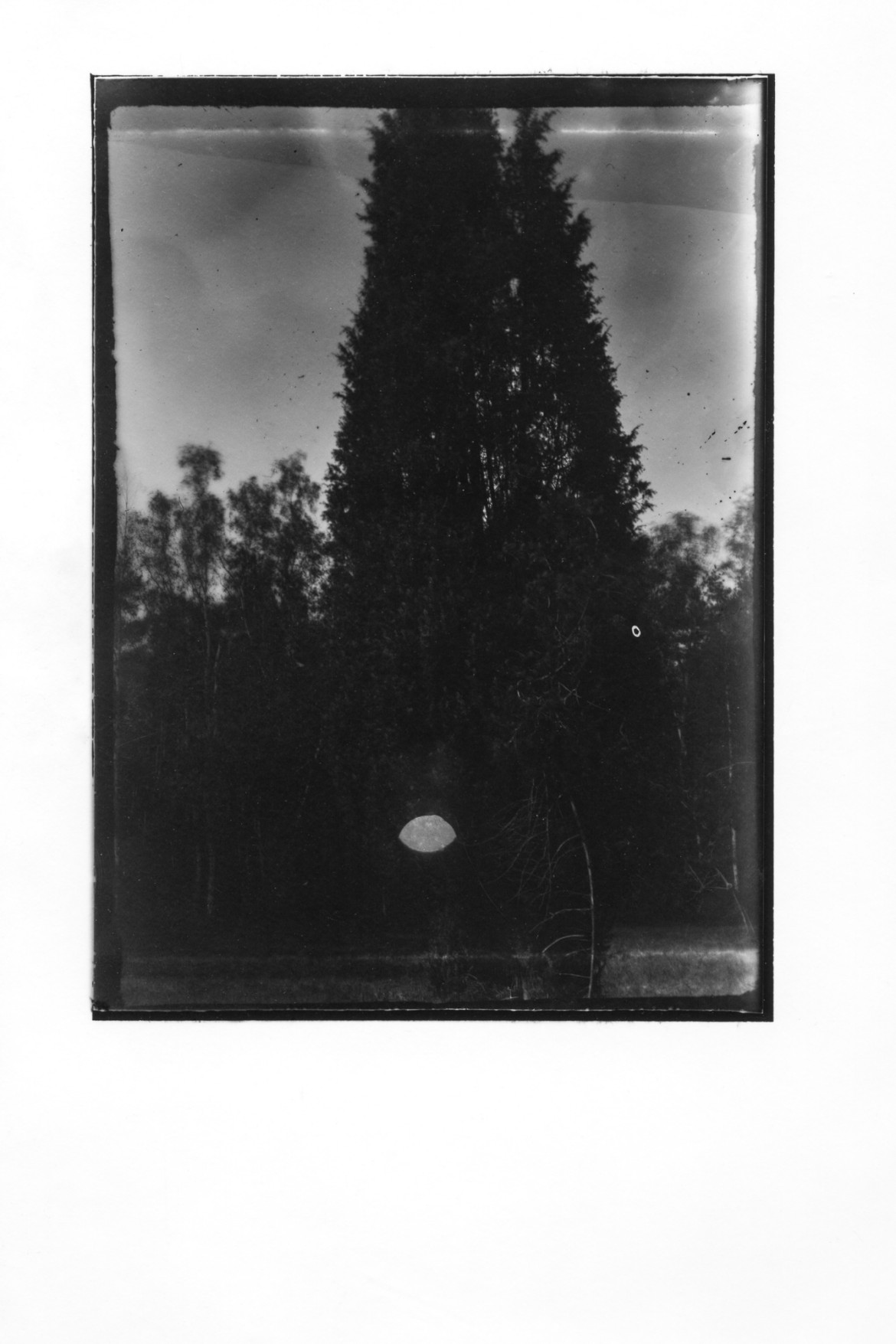 fot. Maciek Zych