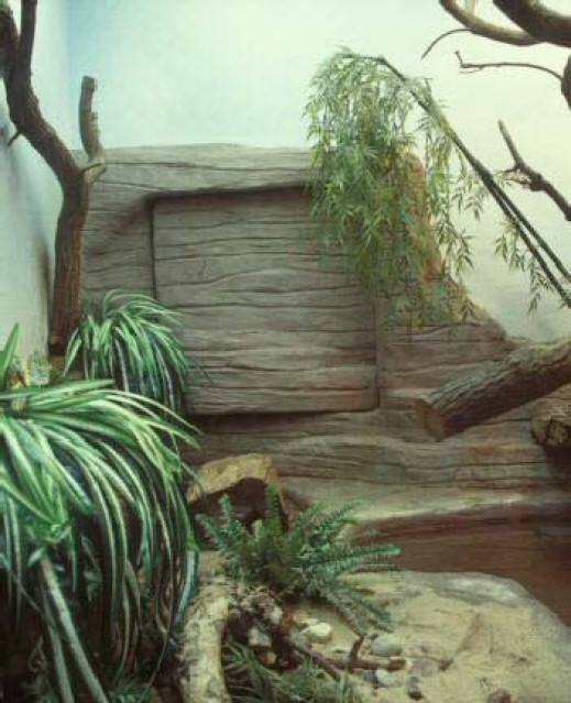 Filip Berendt "Ghetto Jungle"