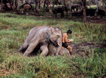 Steve McCurry: On Reading