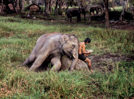Steve McCurry: On Reading