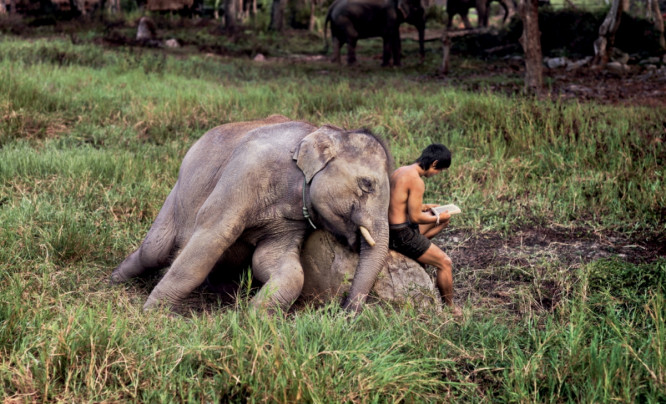 Steve McCurry: On Reading