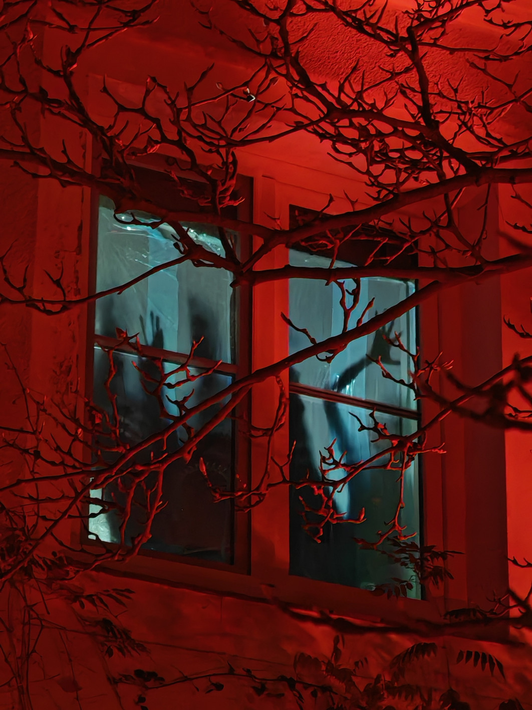 1/20 s, f/2.4, ISO 1600, aparat tele