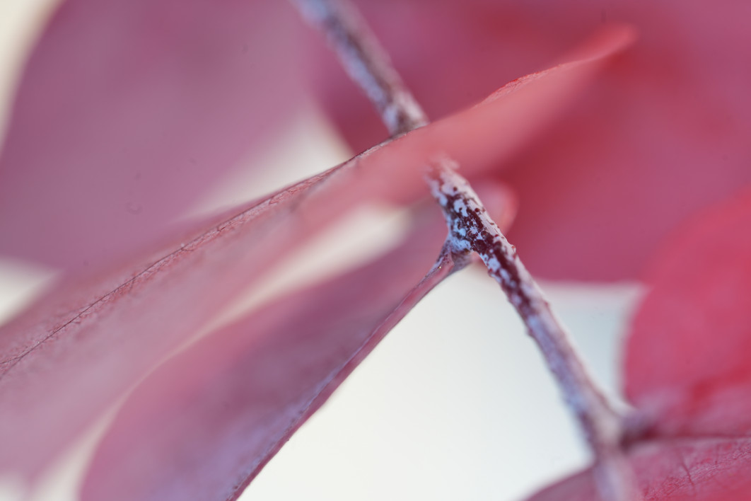 2.5 s, f/5.6, ISO 100, 100.0 mm