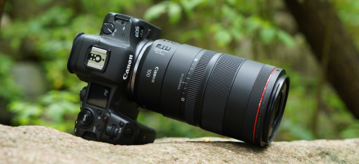 Canon RF 100 mm f/2.8L Macro IS USM - pierwsze wrażenia i zdjęcia przykładowe