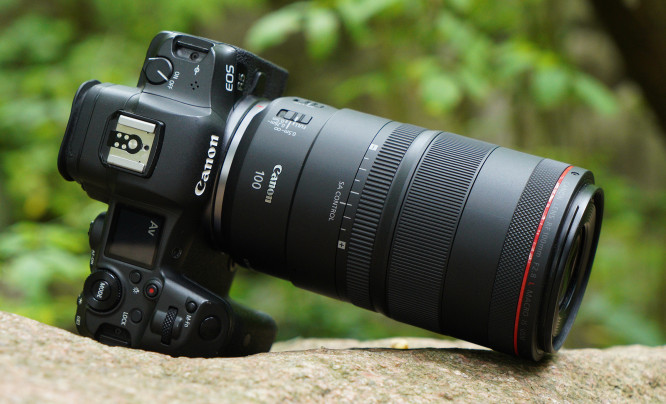  Canon RF 100 mm f/2.8L Macro IS USM - pierwsze wrażenia i zdjęcia przykładowe