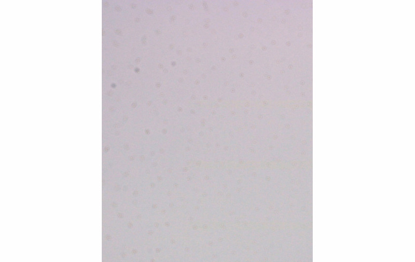 zdjęcie nieba wykonane z przysłoną f/16 fot. lensrentals.com