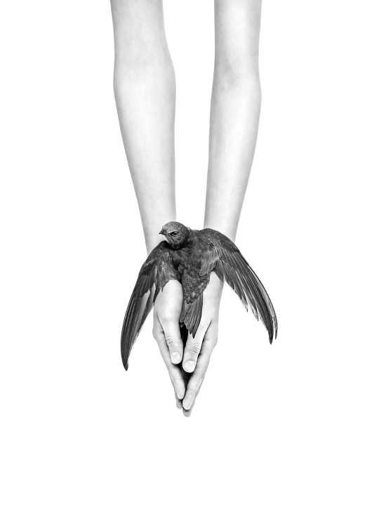 Fot. Małgorzata Fober, z serii Everything in Our Hands, Nature Photographer of the Year (sekcja amatorska) / IPA 2024