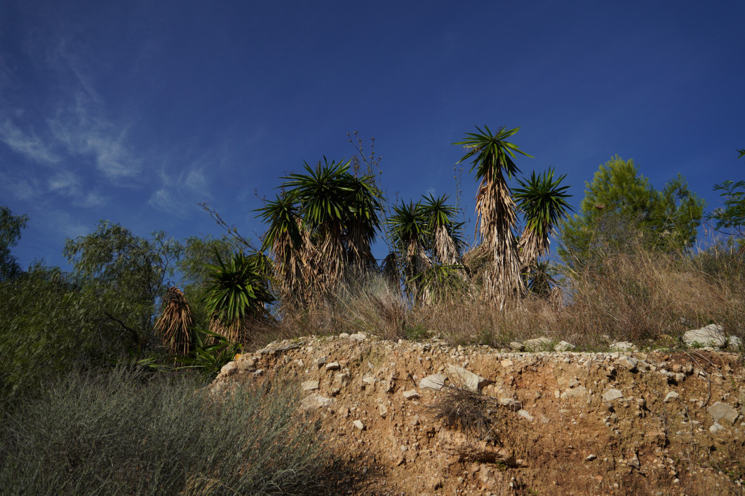1/4000 s, f/2.8, ISO 100, 16.0 mm