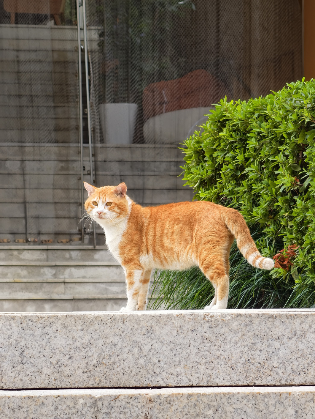 1/100 s, f/2.7, ISO 113, 22.5 mm