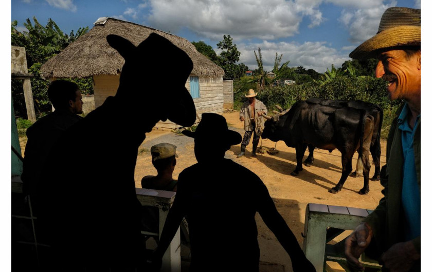 fot. Roberto Malagoli, Tra I Campesinos Di Vinales... Dentro L'anima di Cuba / nagroda w konkursie Urban International Photo Awards 2020