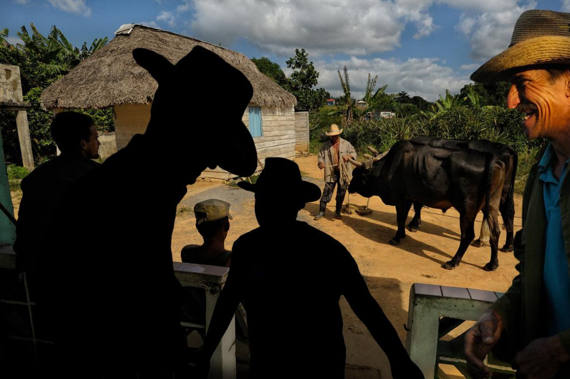 fot. Roberto Malagoli, "Tra I Campesinos Di Vinales... Dentro L'anima di Cuba" / nagroda w konkursie Urban International Photo Awards 2020