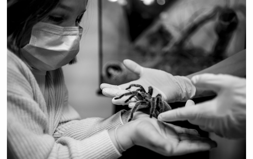 Kategoria: Fotoreportaż - Życie codzienne. Autor: Anna Hernik dla Pix.House
W trakcie pandemii COVID-9 dorośli zajęci pracą, ratowaniem związków i gaszeniem konfliktów, jakie wybuchają w zamknięciu, odpychają od siebie problemy dotyczące dzieci. Najmłodsi nie mają głosu, zostali zamknięci w domu, pozbawieni kontaktu z rówieśnikami, bez możliwości odreagowania frustracji, są niejednokrotnie narażeni na przemoc domową. Zdjęcia trójki moich dzieci w wieku 4, 8 i 12 lat.