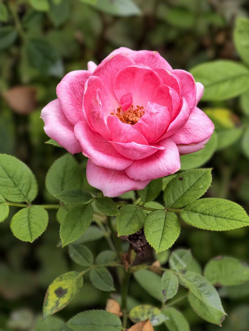 1/109 s, f/8, ISO 50, 22.5 mm