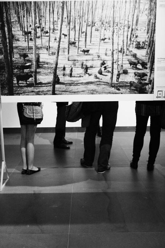 fot. Dawid Janik, otwarcie World Press Photo 2015, Poznań, CK Zamek