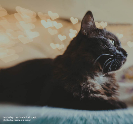 Lensbaby Creative Bokeh Optic