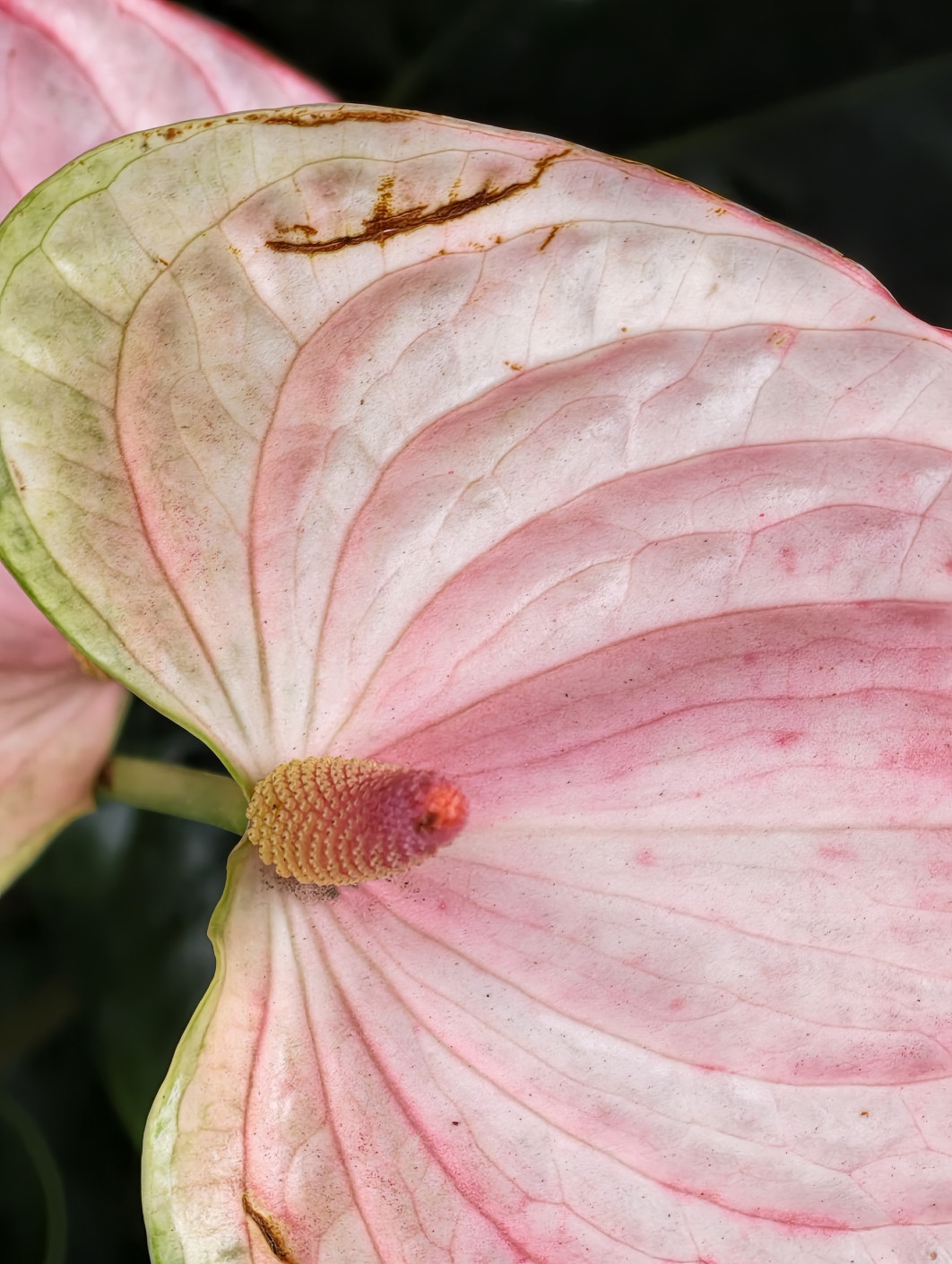 1/100 s, f/2.7, ISO 470, 22.5 mm
