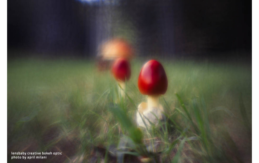 Lensbaby Creative Bokeh Optic