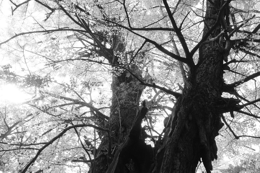 1/100 s, f/5.6, ISO 320, 18.3 mm