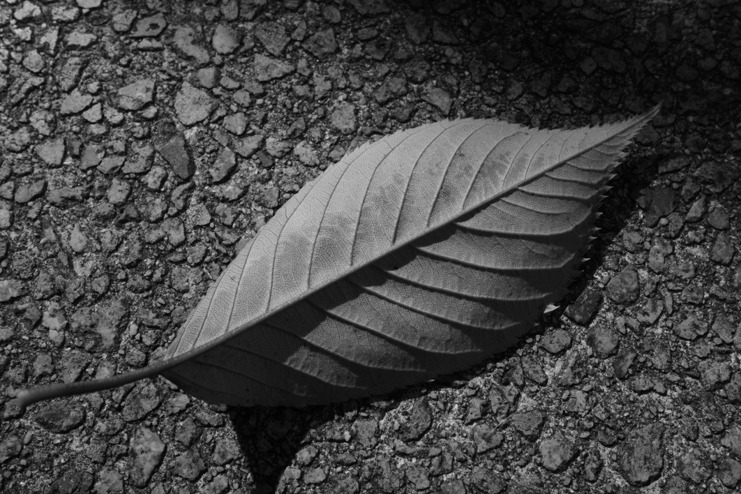 1/640 s, f/8, ISO 160, 18.3 mm