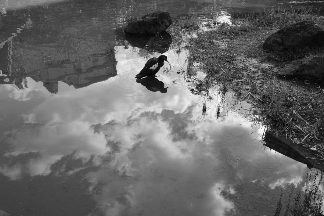 1/400 s, f/5.6, ISO 320, 18.3 mm