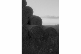Dyplom w Szkole Kreatywnej Fotografii - Krakowskie Szkoły Artystyczne
Student: Maja Rembak
Tytuł: Zapach Jaśminu
Prowadzący: Michał Massa Mąsior