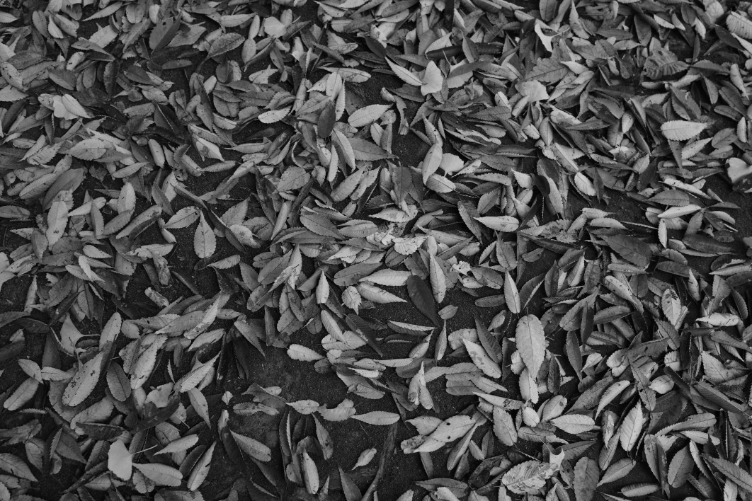 1/30 s, f/4, ISO 250, 18.3 mm