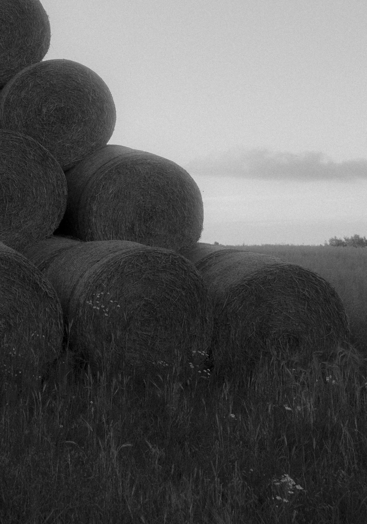 Dyplom w Szkole Kreatywnej Fotografii - Krakowskie Szkoły Artystyczne
Student: Maja Rembak
Tytuł: Zapach Jaśminu
Prowadzący: Michał Massa Mąsior
