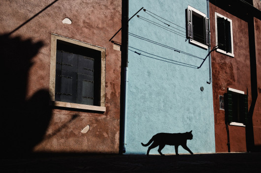 fot. Mirko Saviane