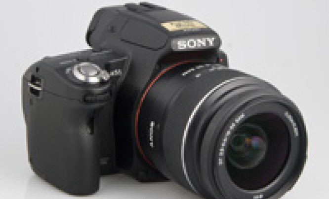 Sony SLT-A55 - krótki test