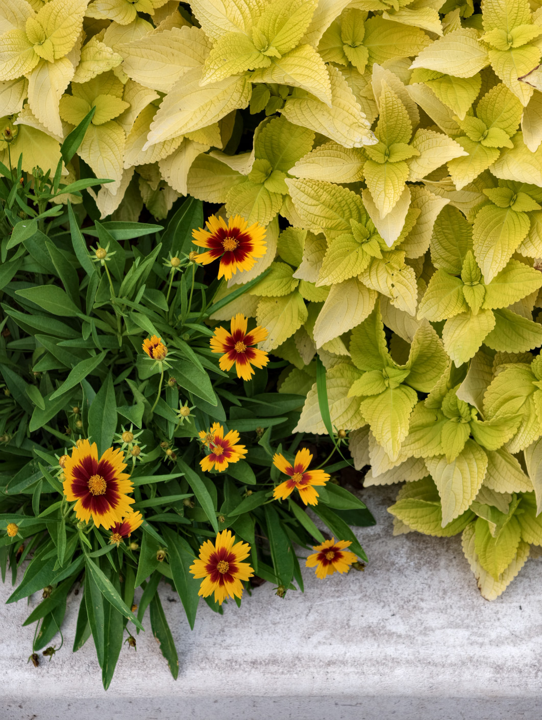 1/100 s, f/2.7, ISO 638, 22.5 mm