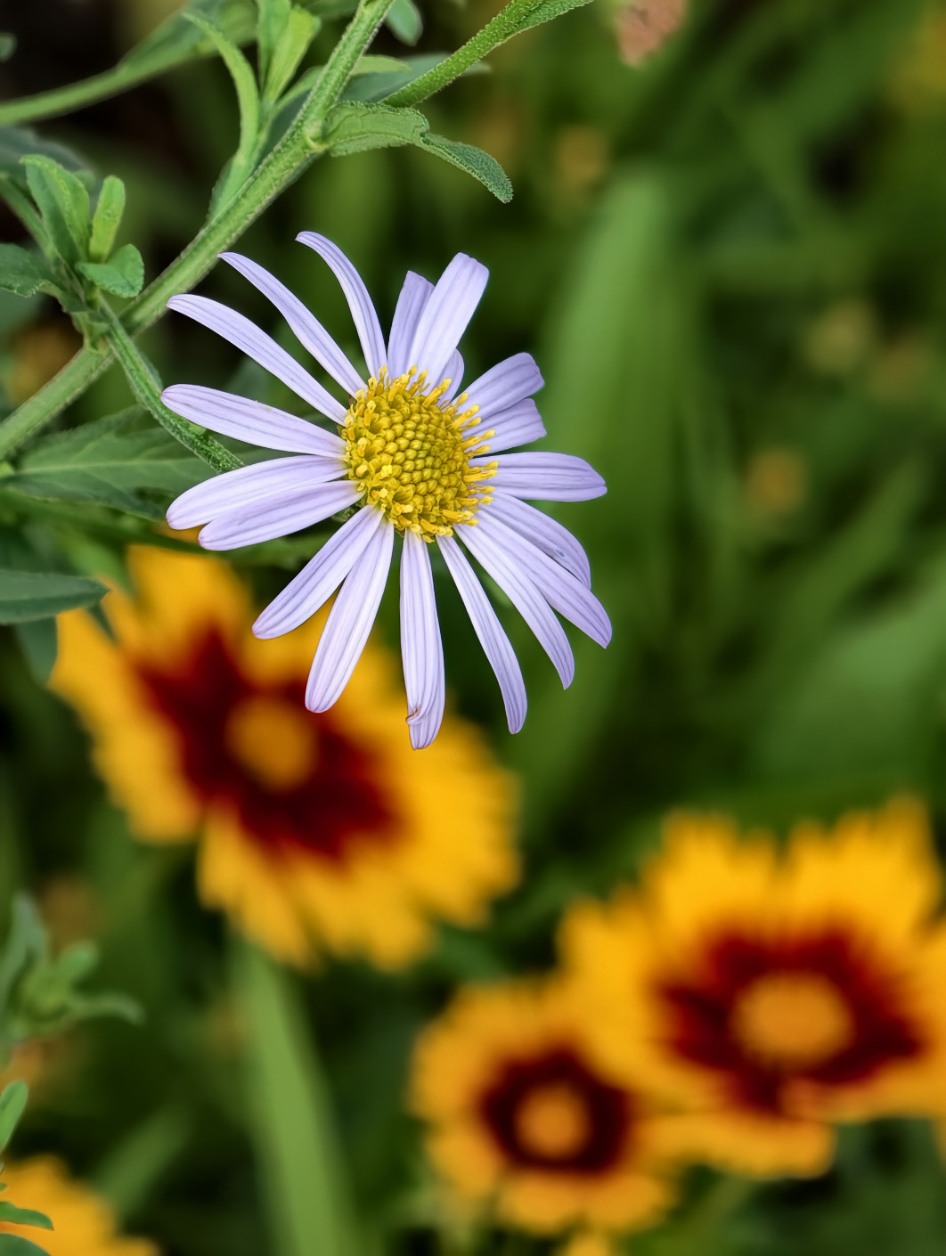 1/100 s, f/8, ISO 541, 22.5 mm