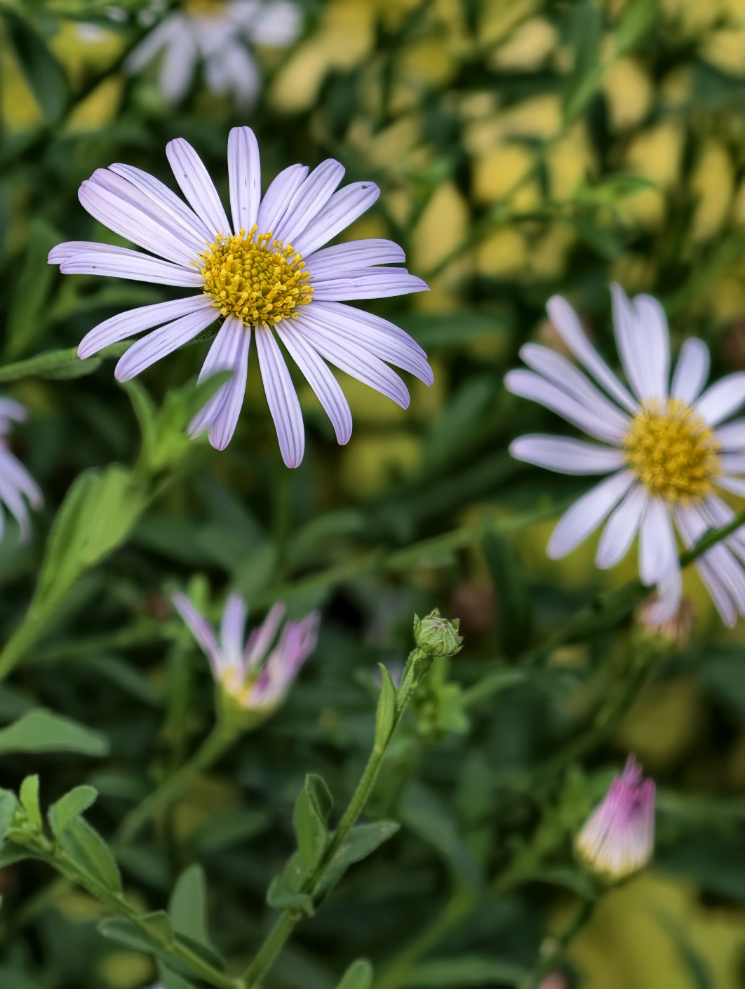 1/100 s, f/8, ISO 373, 22.5 mm