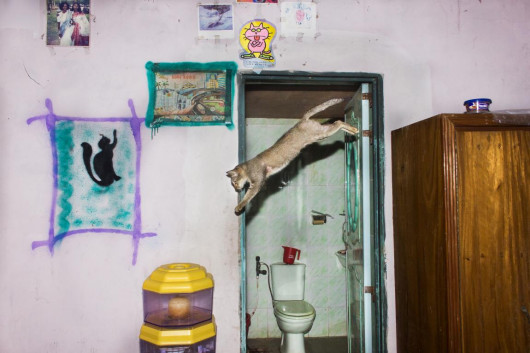 fot. Md Enamul Kabir, Coexistence / nagroda w konkursie Urban International Photo Awards 2020
