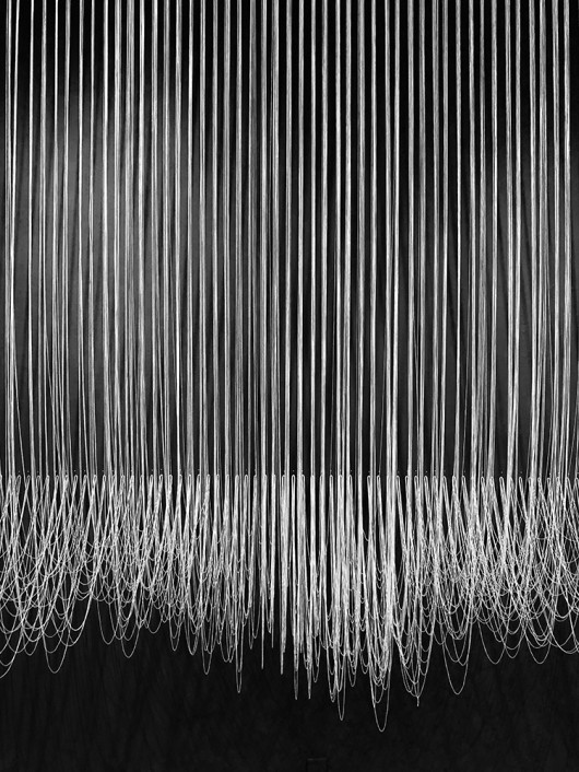 fot. Samantha Byrd, Salve, 3. miejsce w kategorii Abstract / IPPA 2019