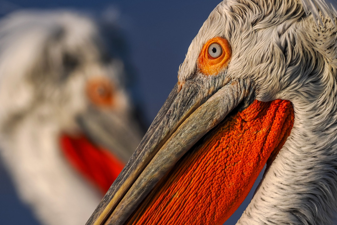 Marcin Dobas: „Fotografia obliczeniowa to przyszłość branży. OM SYSTEM OM-1 jest na to dowodem” [WYWIAD]