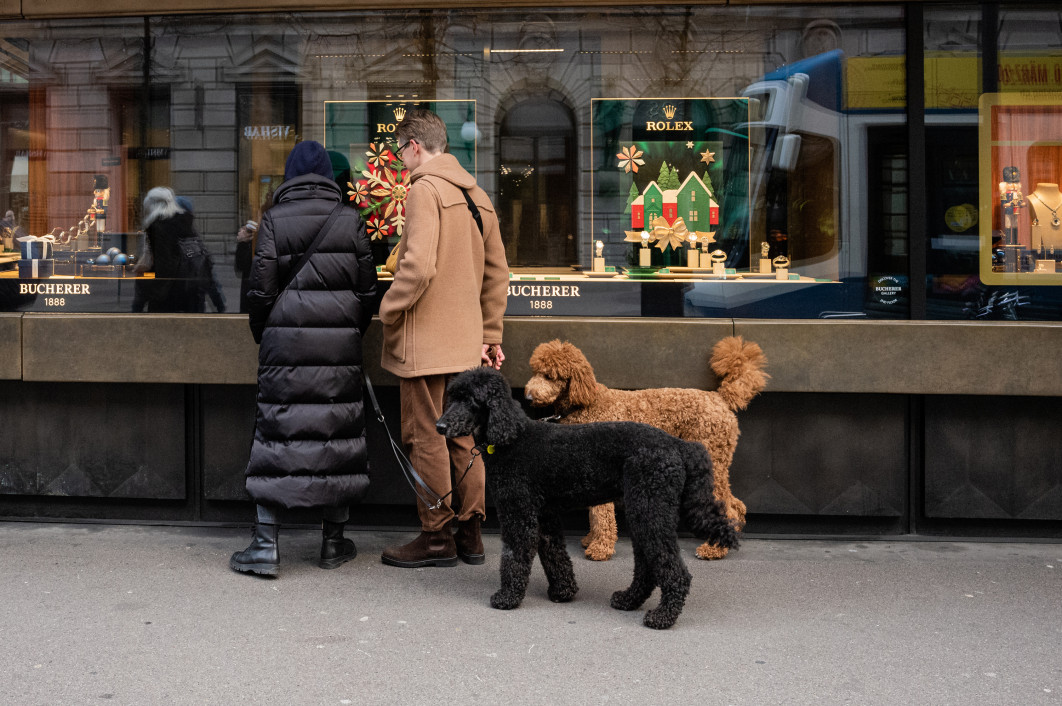 Fot. Eugster Michael (Szwajcaria)