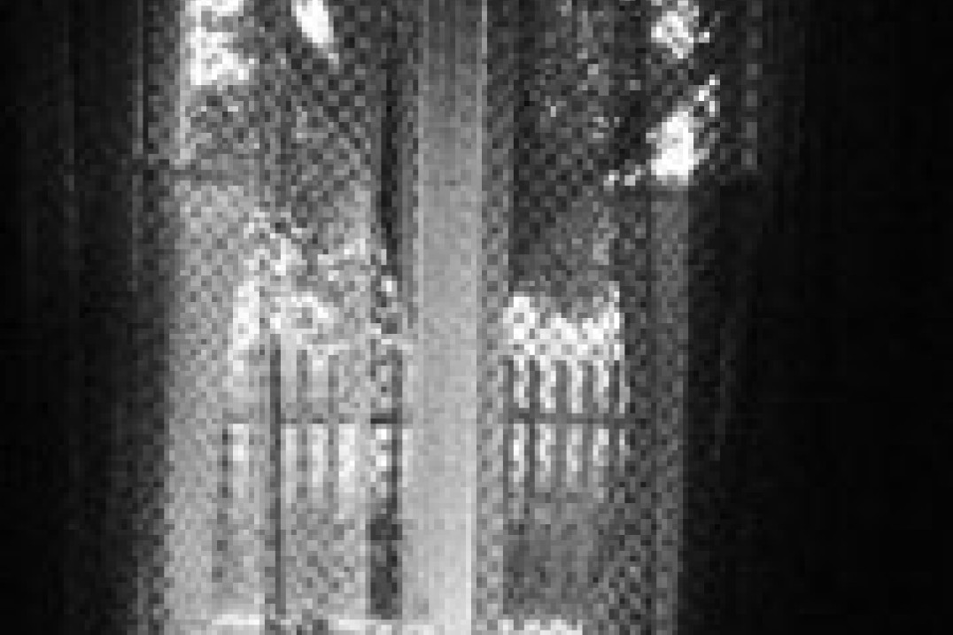 Szymon Kobusiński - opinia o Olympusie E-P1