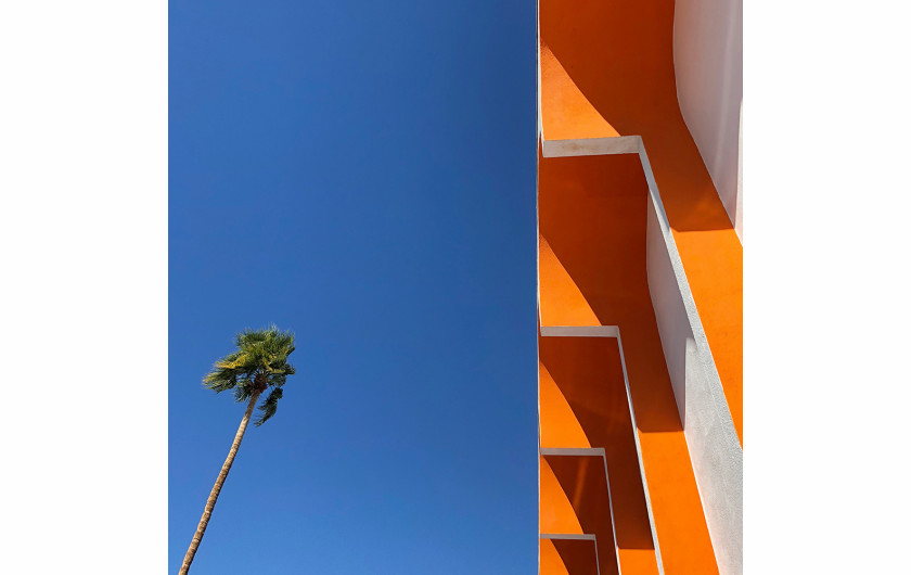 fot. Sally Ann Field, Palm Springs Palm, 2. miejsce w kategorii Architecture / IPPA 2019