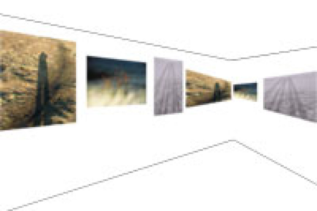 Projekt "Galeria Bezdomna"