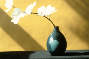 W ogrodzie Mapplethorpe'a: „Flora: The Complete Flowers” [Recenzja]