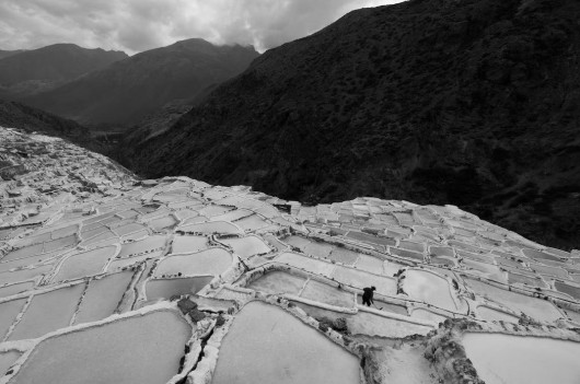 fot. An Li  / Pictures of the Year National Geographic
W Kopalniach Soli w Maras w Peru znajduje się około 4500 studni solnych, które tarasowo wkomponowane są w zbocze wzgórza. Zapis archeologiczny wskazuje, że wydobycie soli rozpoczęło się tu prawdopodobnie jeszcze przed powstaniem Imperium Inków, być może już w 500 roku naszej ery. Dziś tradycja ta jest kontynuowana przez rodziny posiadające studnie, z których każda produkuje około 400 funtów soli miesięcznie. Studnie solne otrzymują wodę poprzez kanały zasilane słonym podziemnym źródłem w pobliżu, a kiedy woda wyparuje, pozostaje skrystalizowana sól - opisuje An Li. Tutaj solarz używa drewnianych grabi, aby wydobyć sól.
