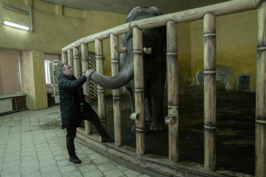 Grand Press Photo 2022: kategoria Stories - Current Events. I miejsce – Marek M. Berezowski, Agencja Reporter. 24 lutego 2022 roku rosyjskie wojska zaatakowały Ukrainę z kilku stron, a jednym z kierunków ataku była stolica. Dzięki silnej ukraińskiej obronie próby okrążenia metropolii nie powiodły się. Rosjanie zajęli jednak szereg miejscowości wokół Kijowa, dokonując licznych zbrodni wojennych i sprowadzając cierpienia na cywili.