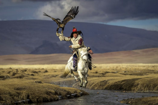 Eric Esterle  / Pictures of the Year National Geographic
Asiilbek, koczowniczy kazachski łowca orłów, przygotowuje swojego złotego orła, Burgeda, do polowania na łąkach Bayan-Ölgii, najbardziej wysuniętą na zachód prowincją Mongolii. Szkolenie orłów rozpoczyna się, gdy młode ptaki są zabierane z gniazd na klifach i uczone polowania na zające, lisy, a nawet jelenie. Tradycja ta sięga 3000 lat.  Robiąc to zdjęcie leżałem na brzuchu - mówi fotograf Eric Esterle. Ziemia zatrzęsła się, gdy koń Asiilbeka przeszedł mniej niż kilka stóp ode mnie, ochlapując mnie lodowatą wodą”.
