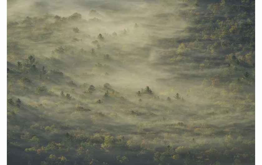 Tihomir Trichkov / Pictures of the Year National Geographic
Wracając do domu z lotniska pewnego wczesnego październikowego poranka, fotograf Tihomir Trichkov przeciął Blue Ridge Parkway w Północnej Karolinie i zauważył słońce wschodzące delikatnie nad doliną. Była ona pokryta gęstą mgłą, a pod nią wyskakiwały jesienne kolory. Wpatrywałem się w szepczącą tajemnicę, tworząc impresjonizm za pomocą aparatu - mówi Trichkov. Dzień wcześniej padało; w powietrzu było mnóstwo wilgoci. Nazwałem to zdjęcie 'Legends of the Fog', gdyż wpatrując się w nie słyszę szepty.
